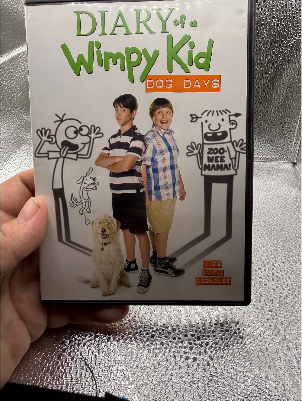 Diary of a Wimpy Kid: Dog Days DVD Movie